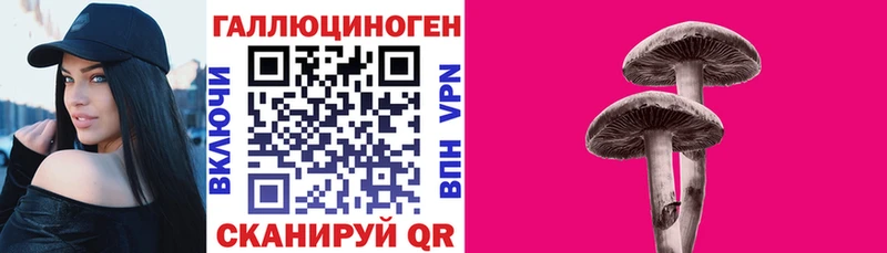ссылка на мегу маркетплейс  Кущёвская  Псилоцибиновые грибы Psilocybe 